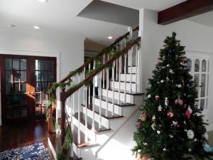 DSCN7108.jpg
